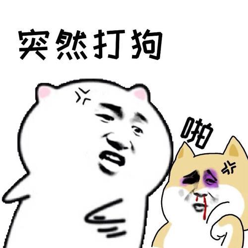 别再打狗了,这些后果很难承受!_腾讯新闻
