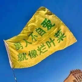 表情包:男人不自爱,就像烂叶菜