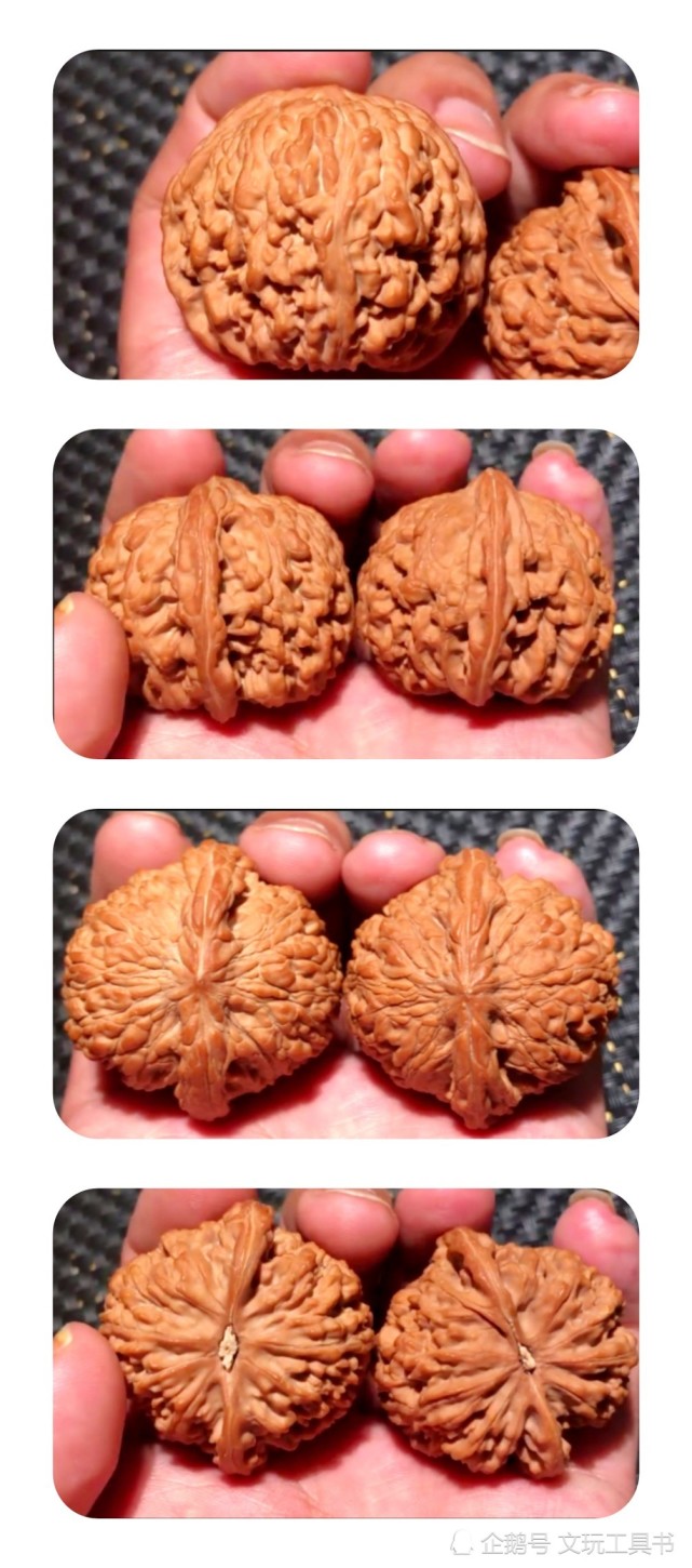 文玩核桃之和尚头