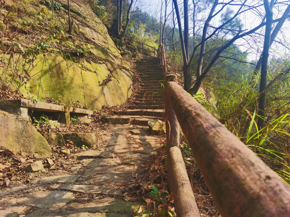 春節要到了趕快收藏一個在重慶主城能爬山曬太陽的地方上爬山篇攻略