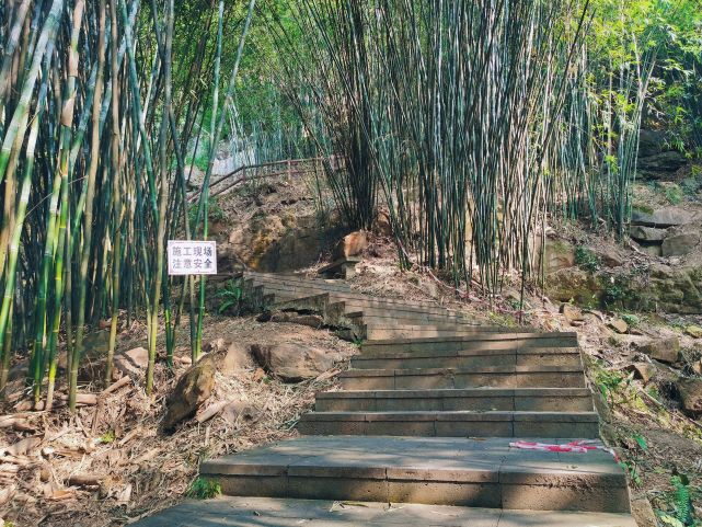 重庆主城爬山图片