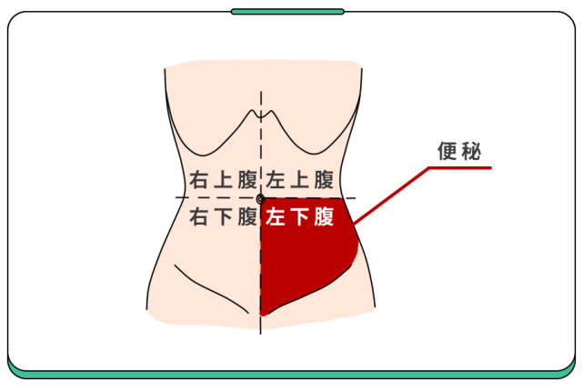 女性卵巢肚脐位置图图片