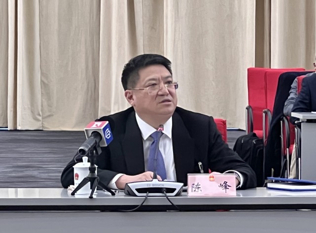 陈峰代表:浦东新区法规要前瞻,期待通过立法盘活空间资源