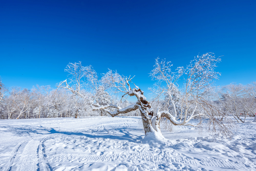 穿林海,跨雪原去看北國絕美風景,名字土掉渣兒卻是龍江第一高峰_騰訊