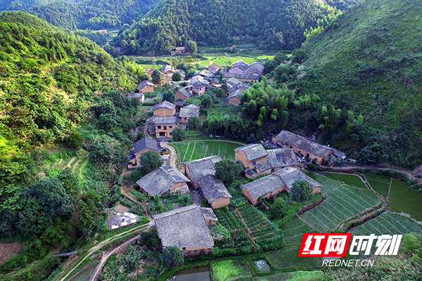 曹缇 通讯员 黄云英 杨雅慧)沩山村,位于湖南省醴陵市沩山镇,是一个因