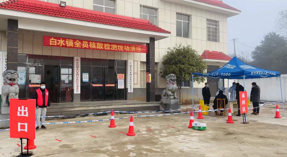 白水镇组织全体镇村干部进行核酸检测