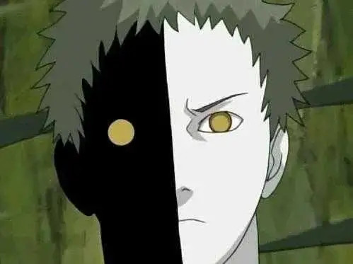 绝分为黑绝和白绝,在晓组织中主要为带土打探情报,是组织中唯一知道