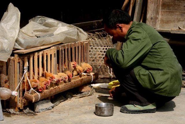 中国式守财奴手中握有百万存款不敢花日子过得朴素至极