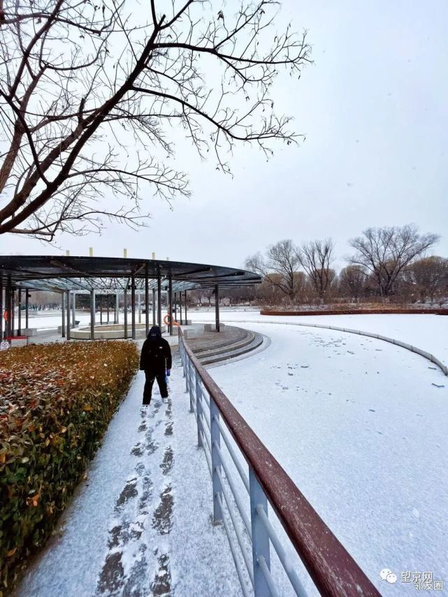 邻友-y咪咪ma-y:今日份望京雪景今日大寒,大寒飘雪,好应景啊!