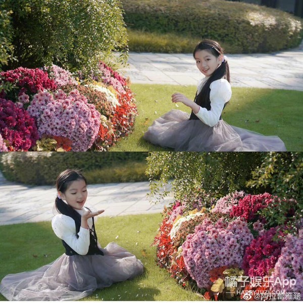 还记得百万年薪拿来养弟弟的阿拉蕾吗？如今长到认不出？（组图） - 28