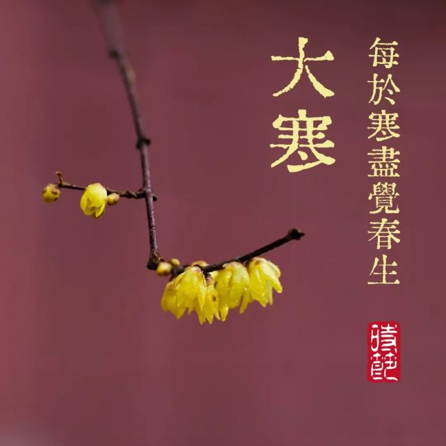 二十四节气大寒