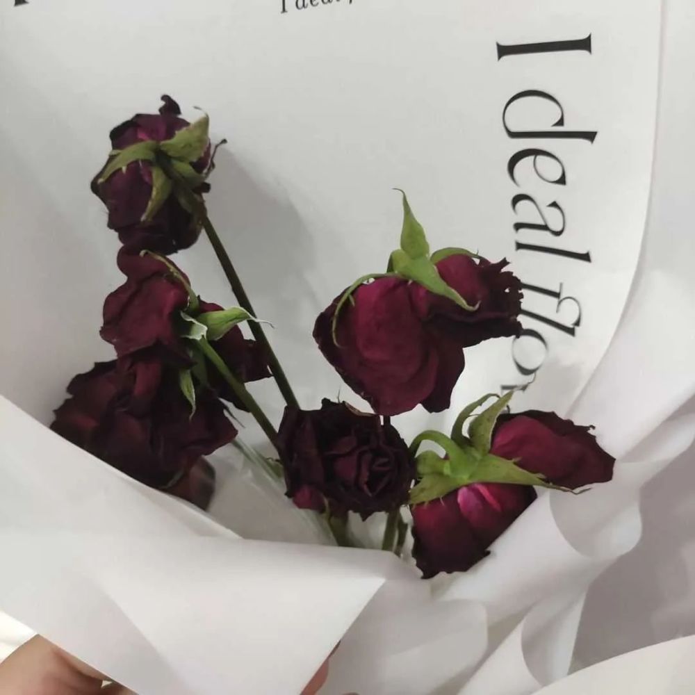 值得收藏在备忘录里的共鸣情绪文案