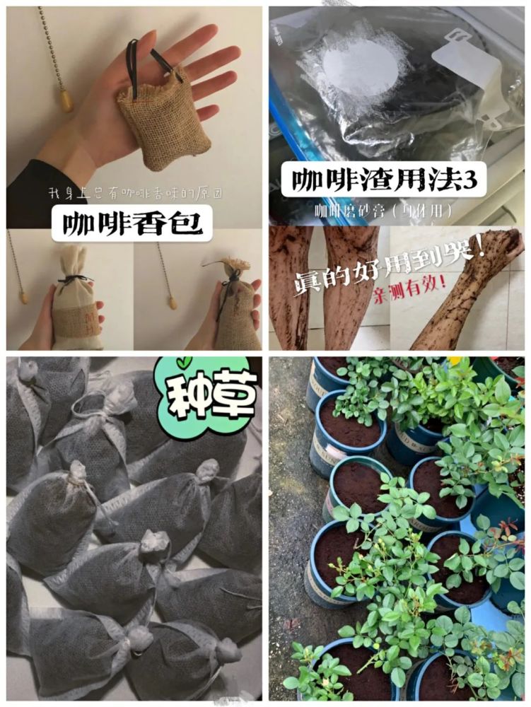 渣渣的逆袭咖啡渣究竟有多万能