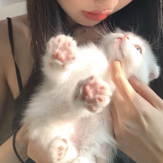 女头抱猫女生头像