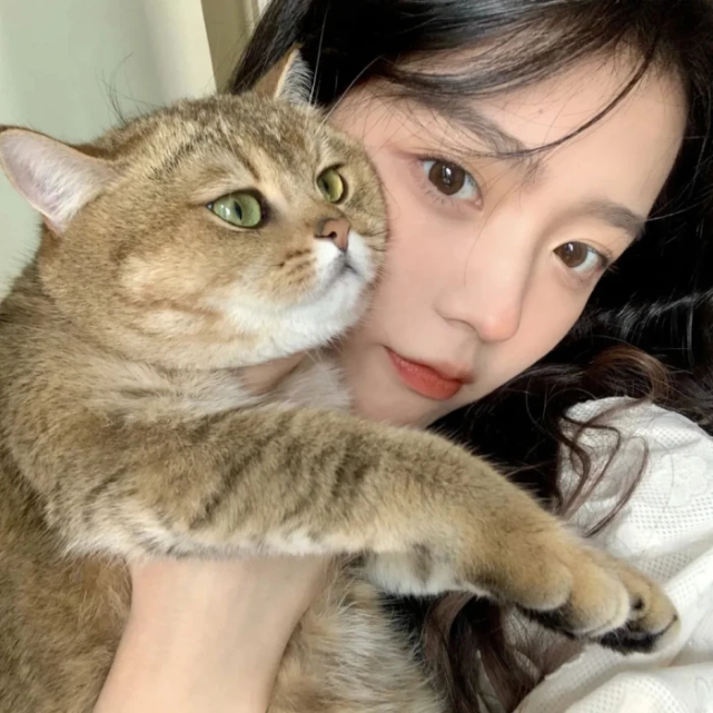 女头抱猫女生头像