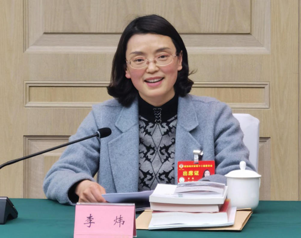 两会圆桌会国际竞争力和区域带动力怎么实现成德眉资