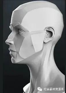 【绘画素材】头部块面练习参考