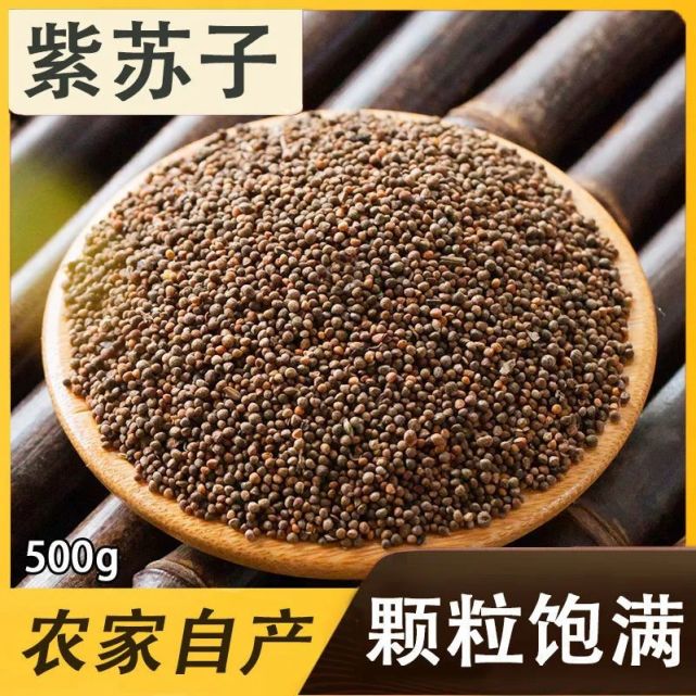 紫苏子的功效与作用,紫苏子的吃法和用量|苏子|紫苏|便秘|家庭手册