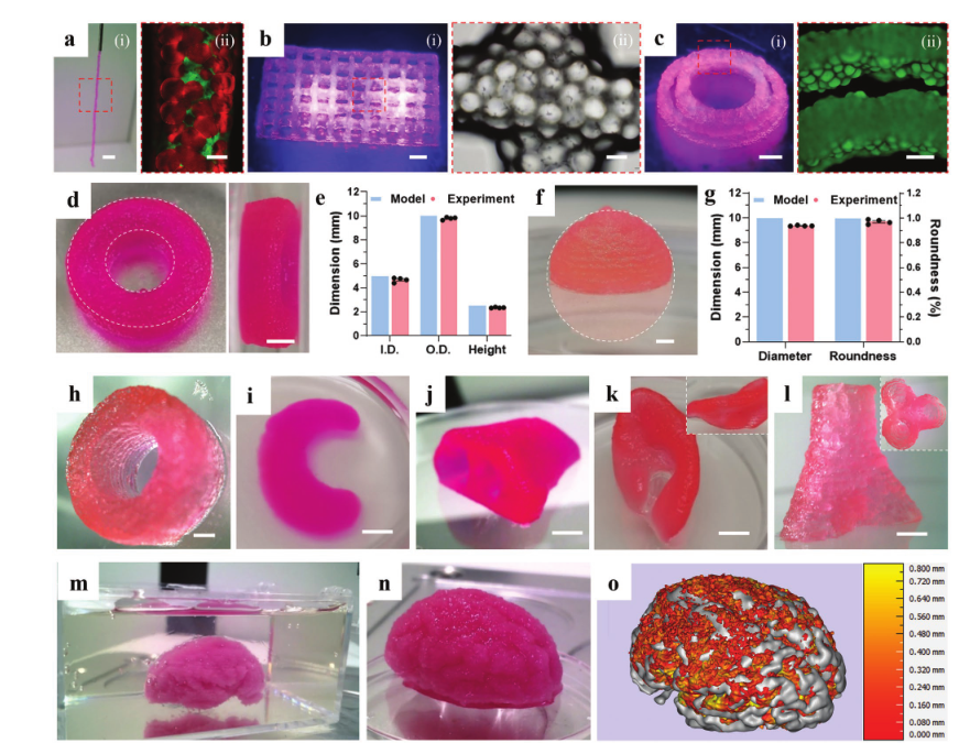 清华大学张婷,熊卓团队:用于3d打印的载细胞微凝胶基双相生物墨水