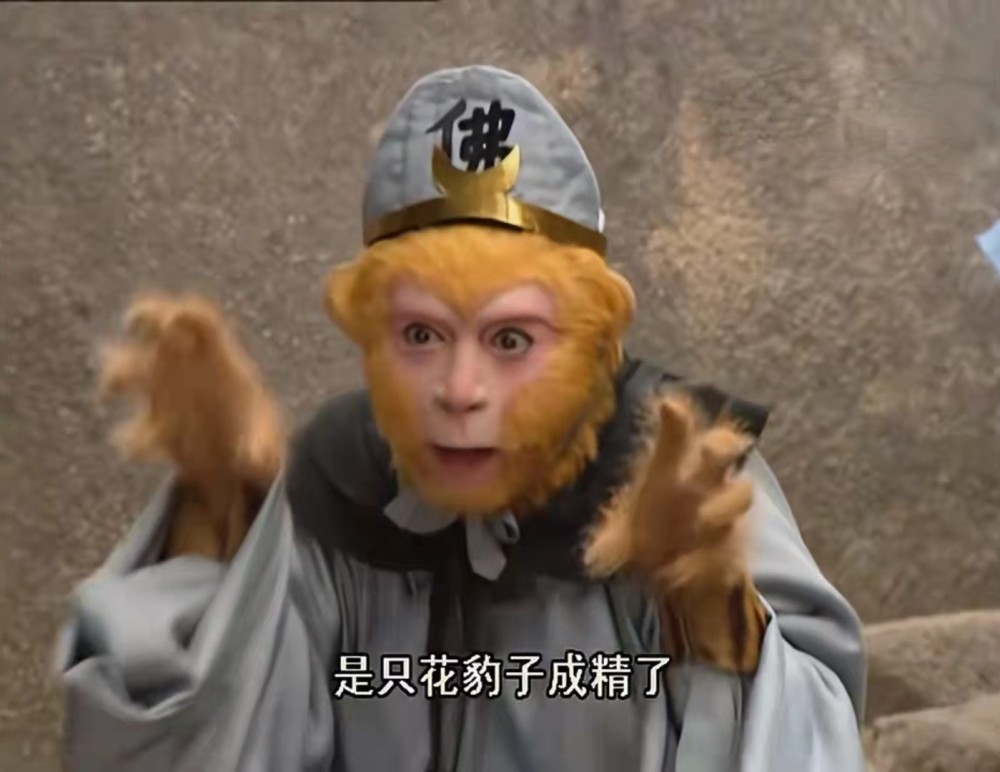 其实,这是只成精花豹.