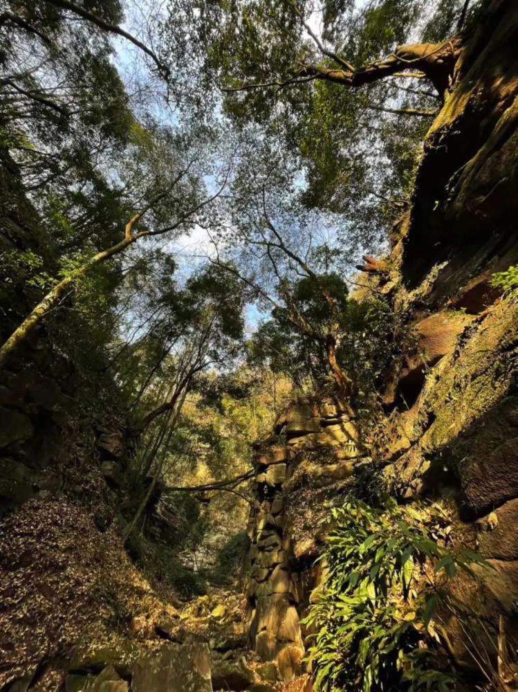 陇南风光丨秘境龙神沟