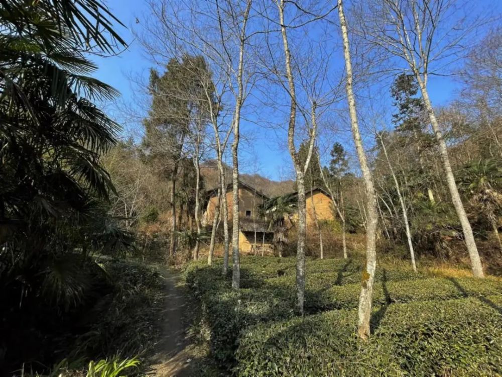 陇南风光丨秘境龙神沟