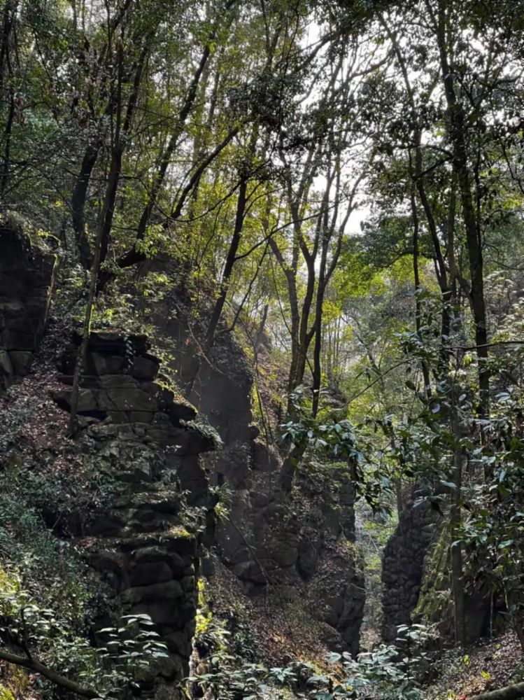 陇南风光丨秘境龙神沟