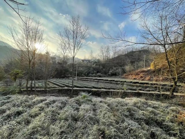 陇南风光丨秘境龙神沟