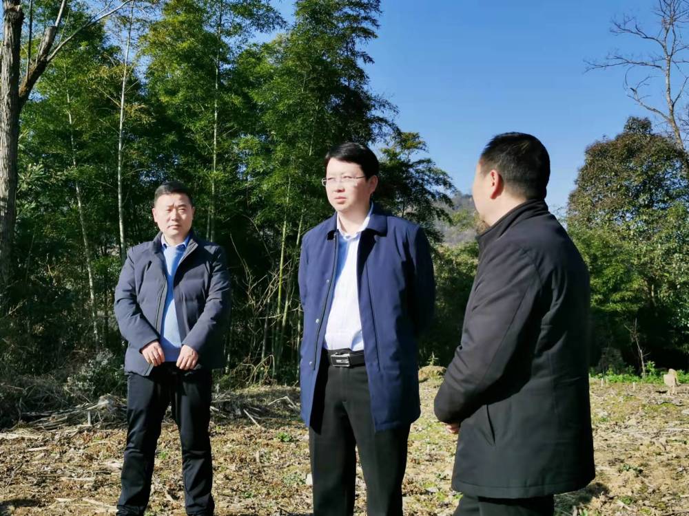 编辑/曹加兰|审核/张晓志|监制/谢坤