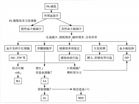 值得一提的是對破碎紅細胞的診斷閾值,正常人血塗片中裂片紅細胞少於