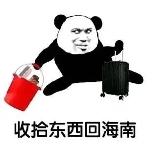青芒岛丨爆火的回家过年表情包