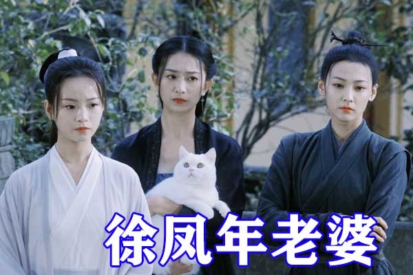 雪中悍刀行北椋结局公开三十二万大军战死徐凤年退隐独留满城遗孀