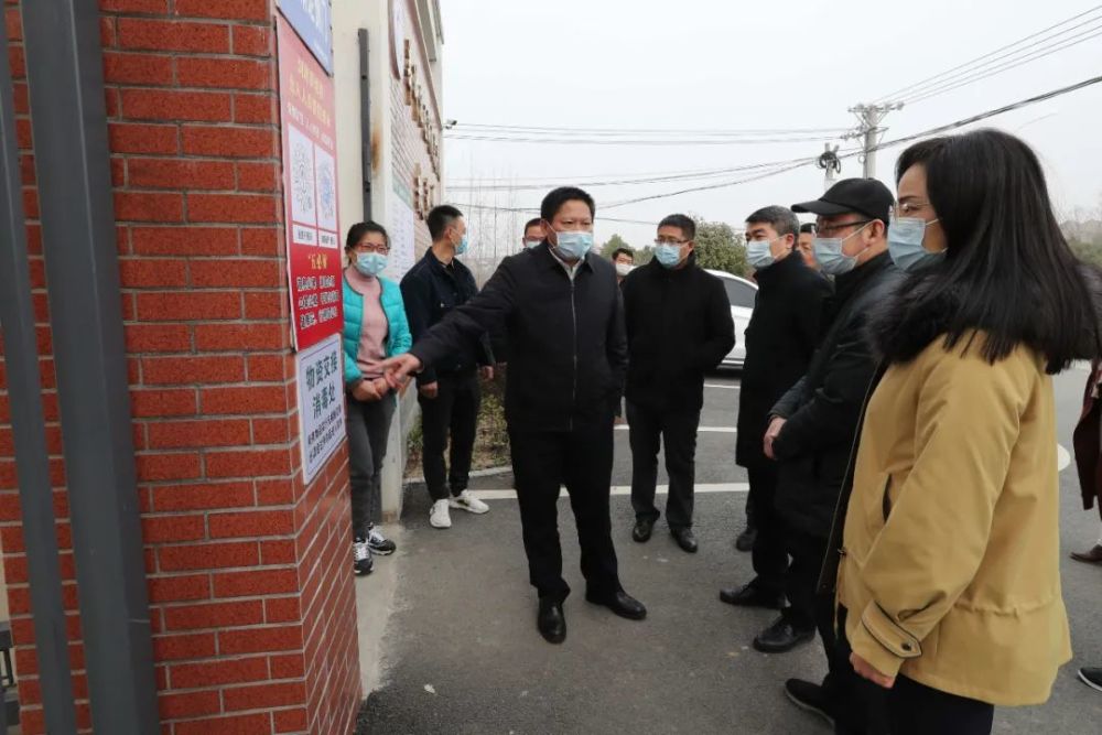 严中兴带队赴新洲调研巩固拓展脱贫攻坚成果同乡村振兴有效衔接工作