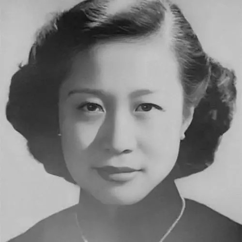 杨振宁原配杜致礼名将之后与夫相爱53年网友翁帆是其复制品