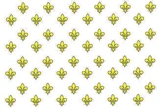 其实在大白旗之前,法国所用的国旗是金鸢尾花旗(也称白底鸢尾花旗,白