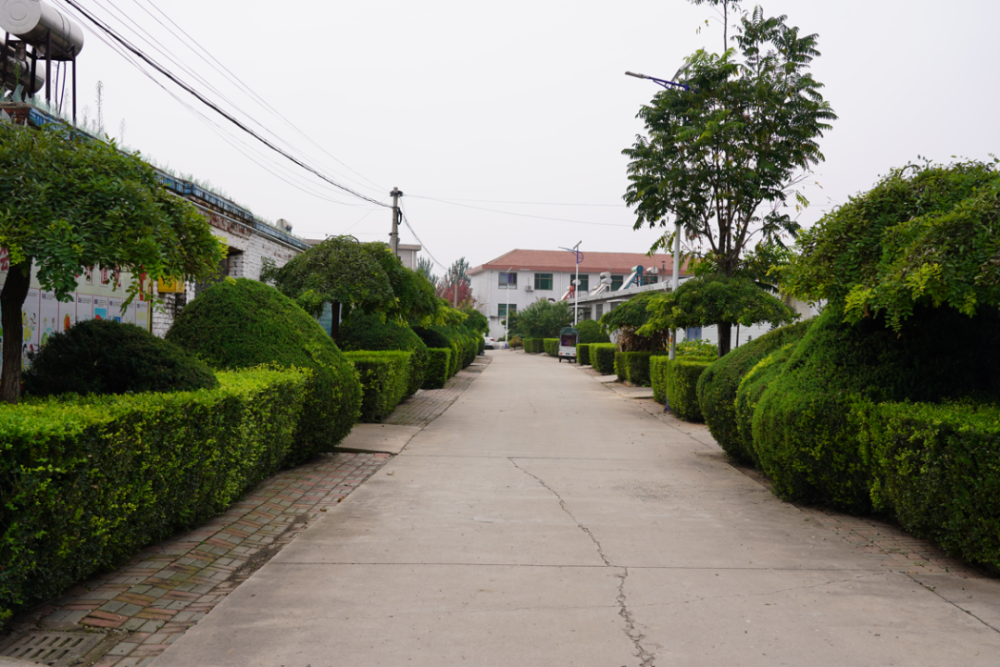 新春特别节目美丽玉田乡村行玉田镇邦道庄村美丽乡村入画来