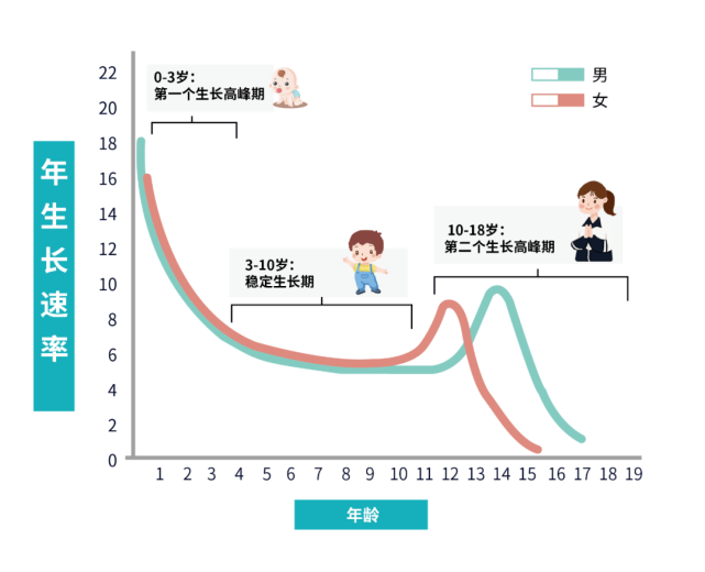 女孩生长高峰期图片