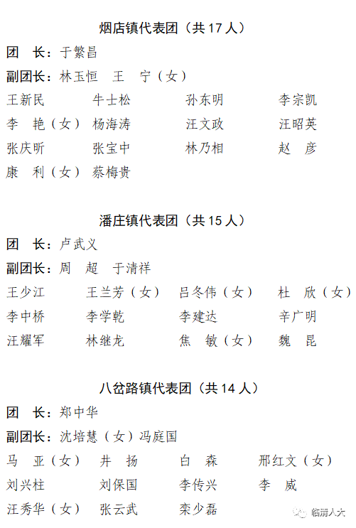 临清市十九届人大代表名单公告共308名