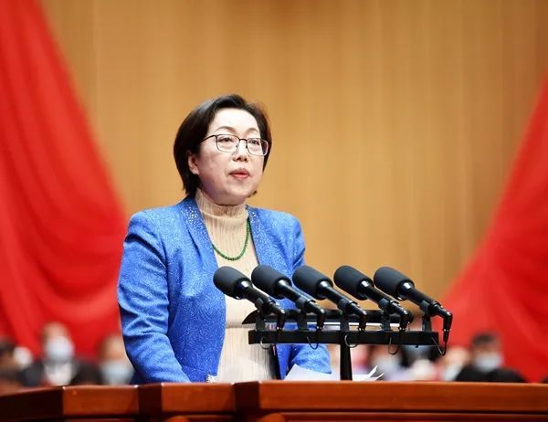 陈婷婷委员代表民建贵州省委发言,回顾了近年来我省新能源材料产业