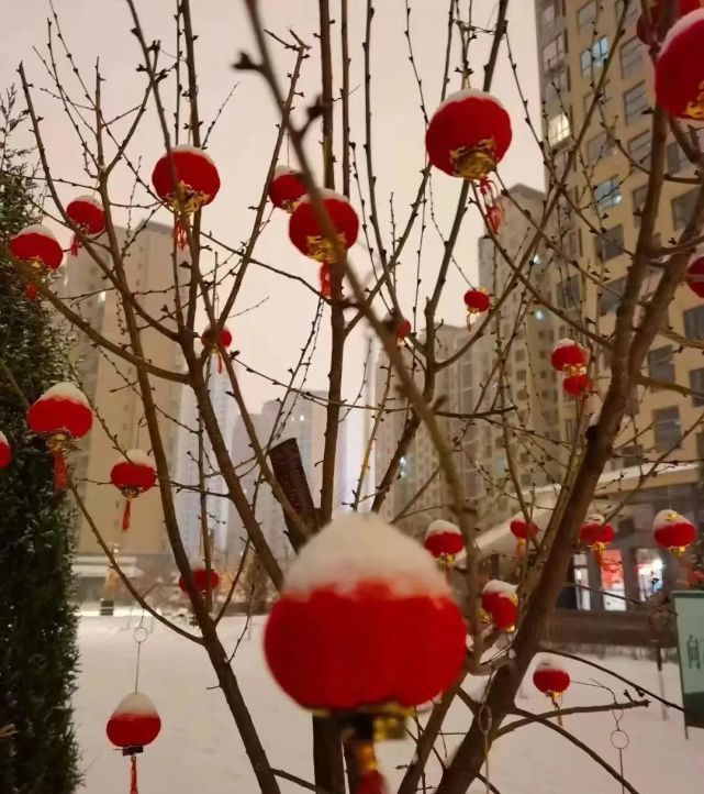 分外妖嬈年味漸濃,一場瑞雪如約而至瑞雪兆豐年 春風迎新歲