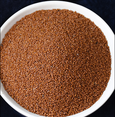 每日一花122葶苈千寻葶苈枝