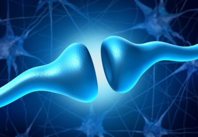 cell最新研究:步行时双腿能步调一致,是如何被神经系统控制的?