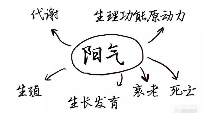 一般情况下随着一个人的成长衰老,阳气会慢慢亏损消耗,因此在日常生活