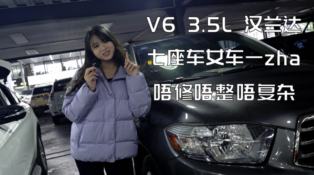 买车回家过大年 10万元足够做大爷 腾讯新闻