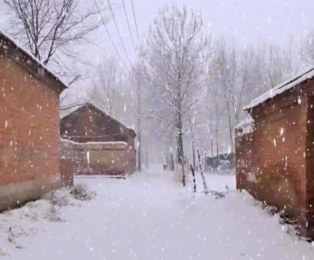 乡村雪景风韵别具