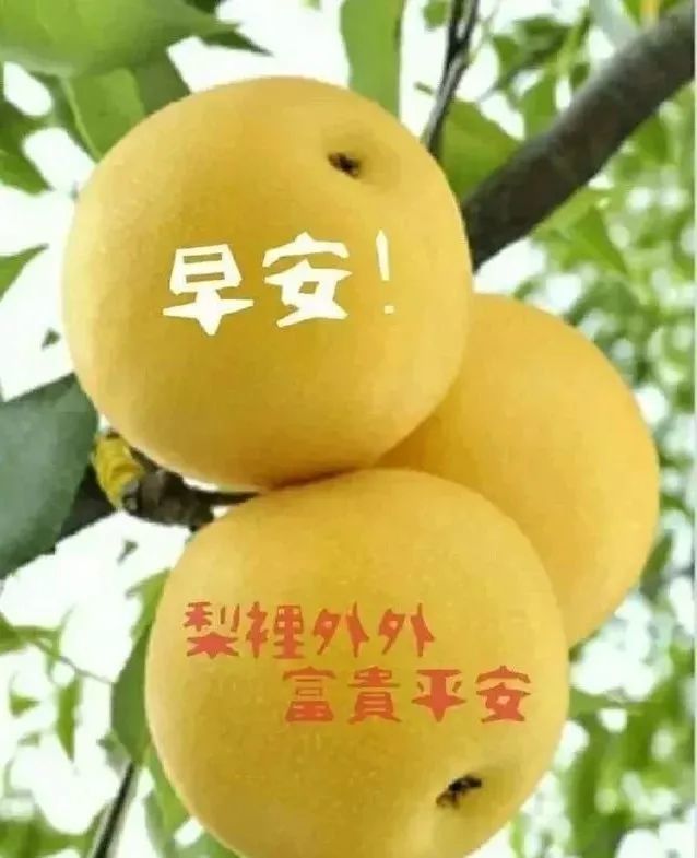 早晨问安送来的是祝福留下的是快乐早晨好