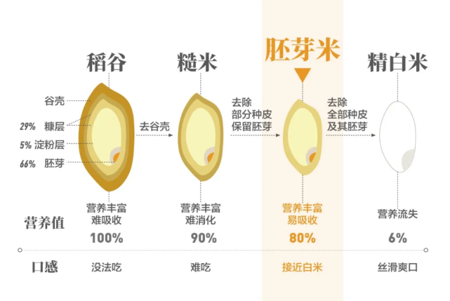99元起饭要粒粒分明还要带着胚芽米中精华原来是它