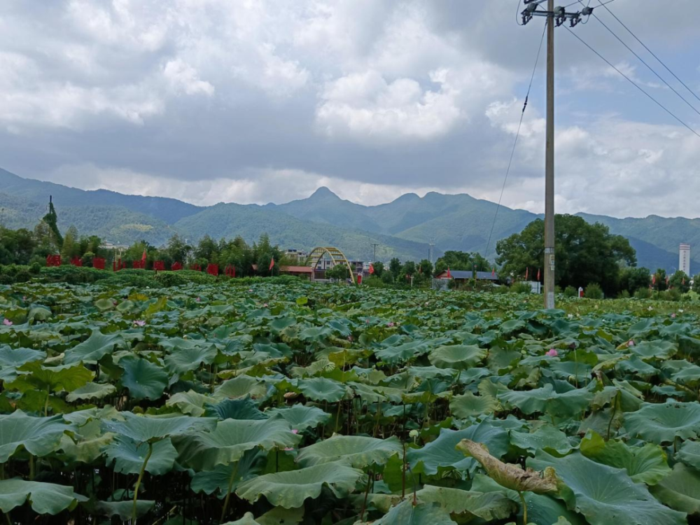 绿盈乡村连城县庙前镇水北村