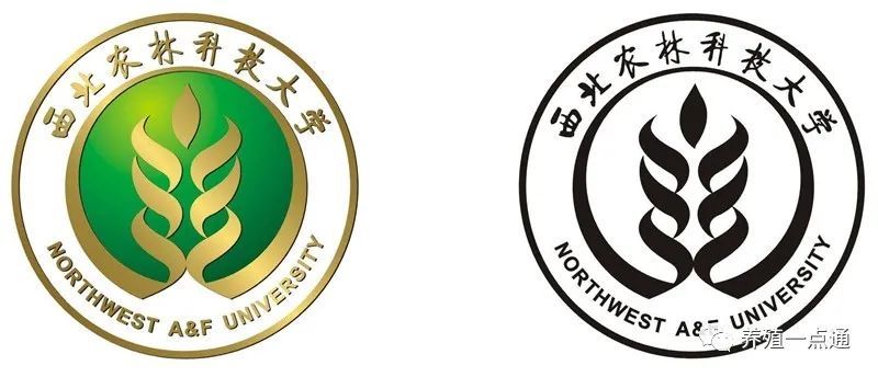 人物志任刚河南淮阳人西北农林科技大学教授生物遗传专家