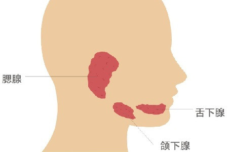 腮腺炎为何会一得再得